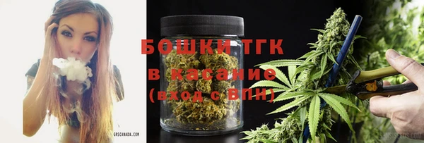 стафф Карпинск
